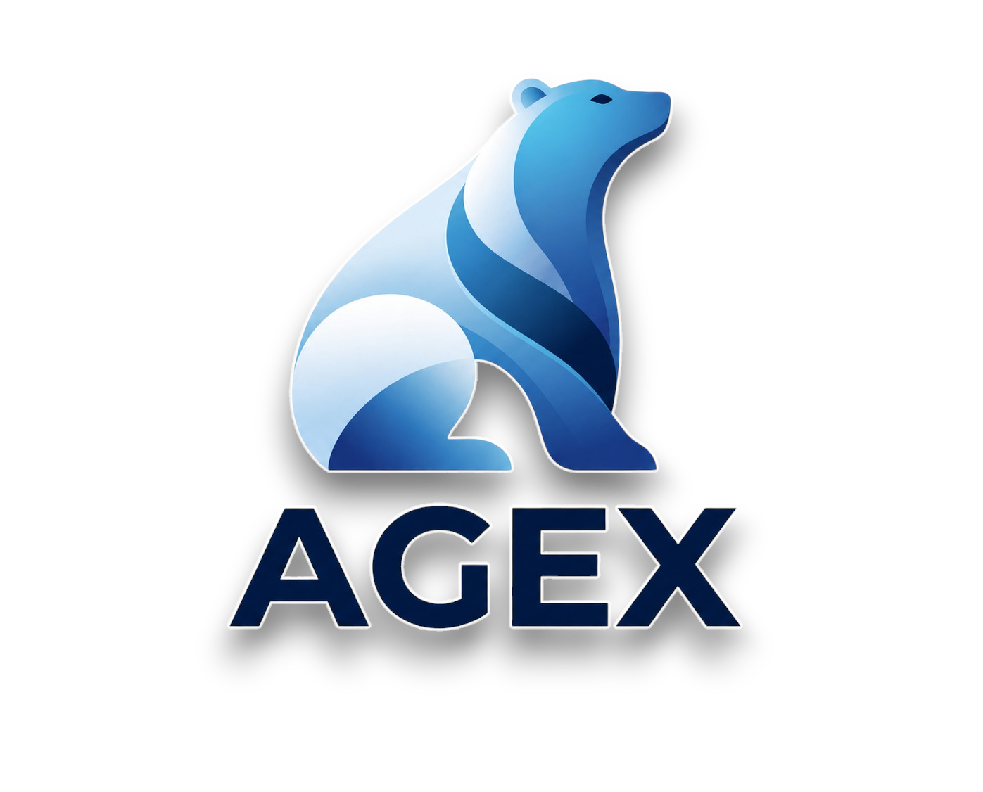 AGEX Kurumsal Çözüm